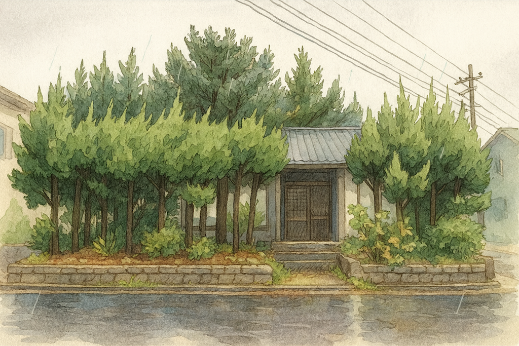 庭木が伸びて近隣に迷惑をかけていた富山市水橋の空き家の売却サポート